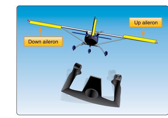 Differential aileron control movement. When one aileron is moved down, the aileron on the opposite wing is deflected upward.