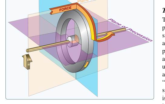 Precession of a gyroscope resulting from an applied deflective force.