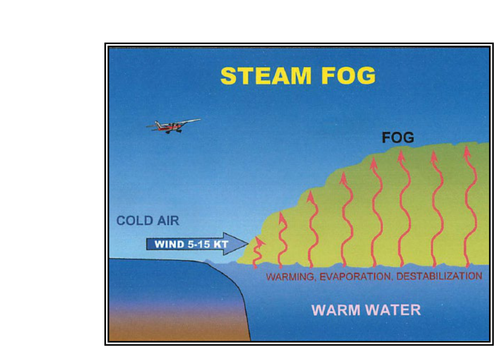Steam Fog Formation