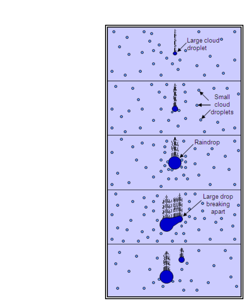 The Collision-Coalescence or Warm Rain Process
