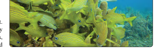 To avoid the bends, scuba divers must not fly for specific time periods following dives.