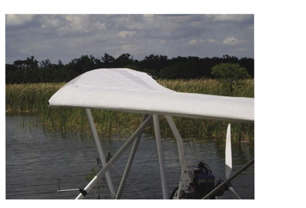 Clean upper surface of strutted wing.