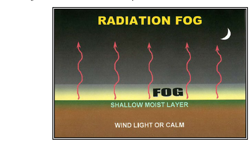 Radiation Fog Formation