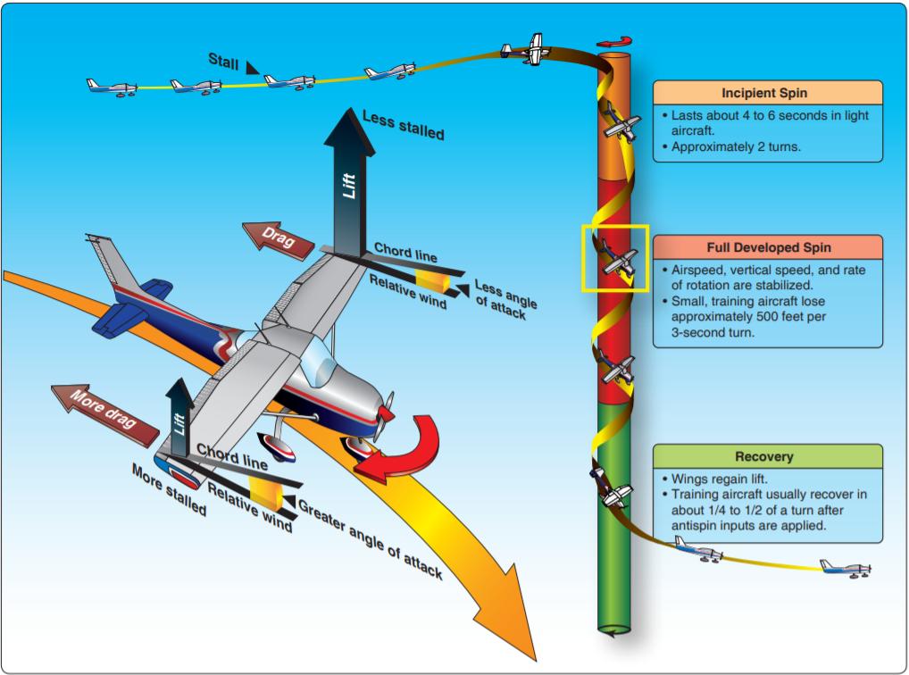 A technical illustration showing the aerodynamic forces during a spin, depicting the phases of spin development including incipient spin, fully developed spin, and recovery, along with differential angle of attack and stall conditions on each wing.