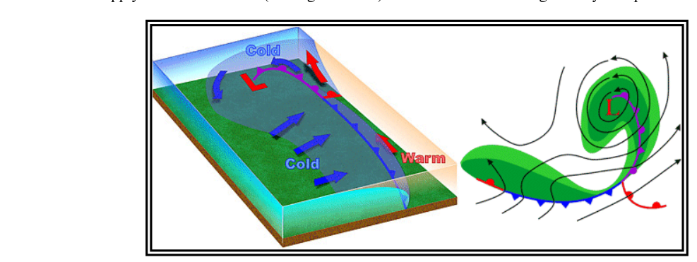Wave Cyclone Model—Stage 5