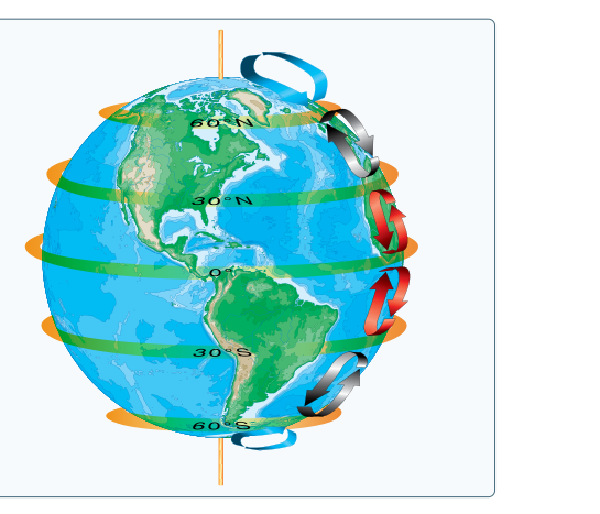 Three-cell circulation pattern due to the rotation of the Earth.