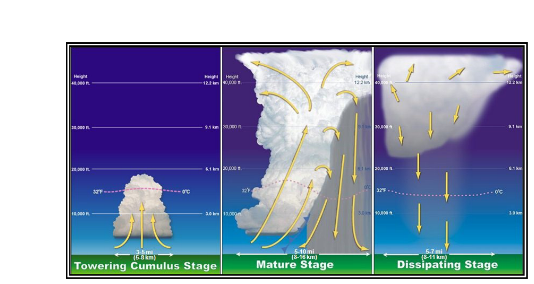 Thunderstorm Cell Life Cycle
