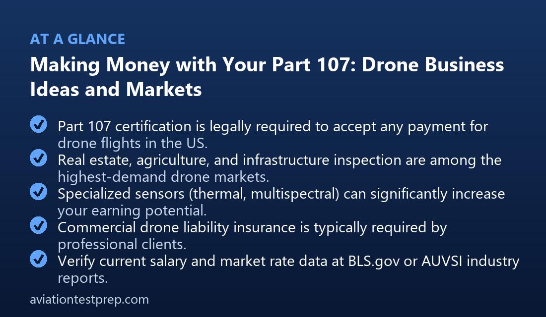 Making Money with Your Part 107: Drone Business Ideas and Markets — at a glance